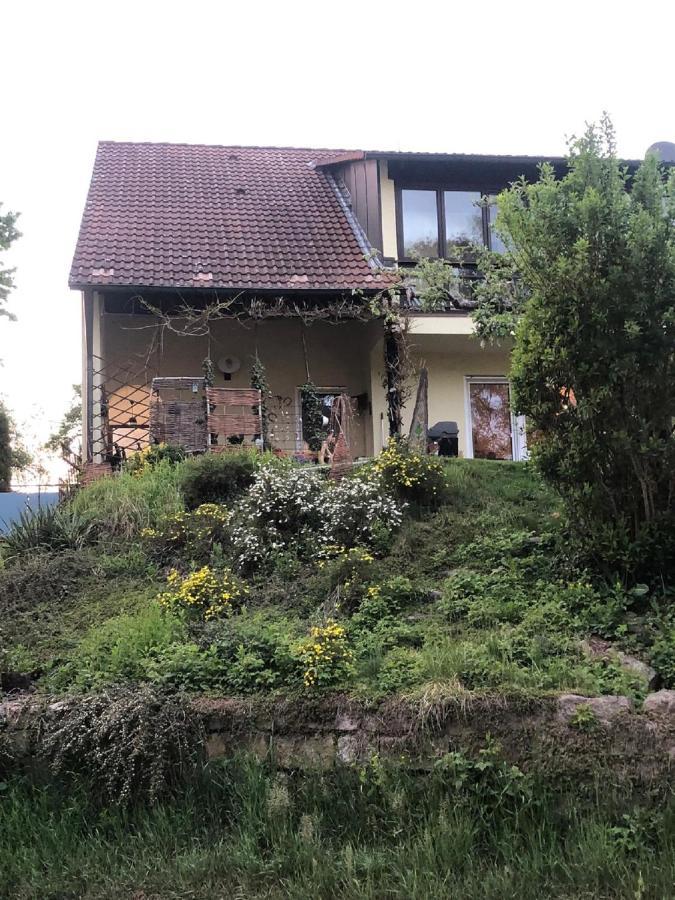 Ferienwohnung Liebel 纽伦堡附近阿尔特多夫 外观 照片