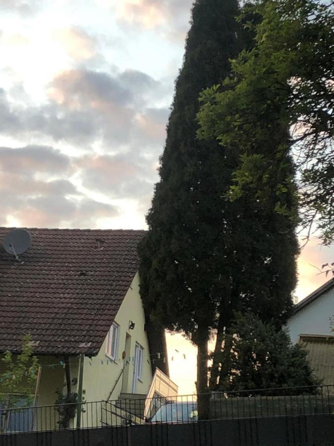 Ferienwohnung Liebel 纽伦堡附近阿尔特多夫 外观 照片